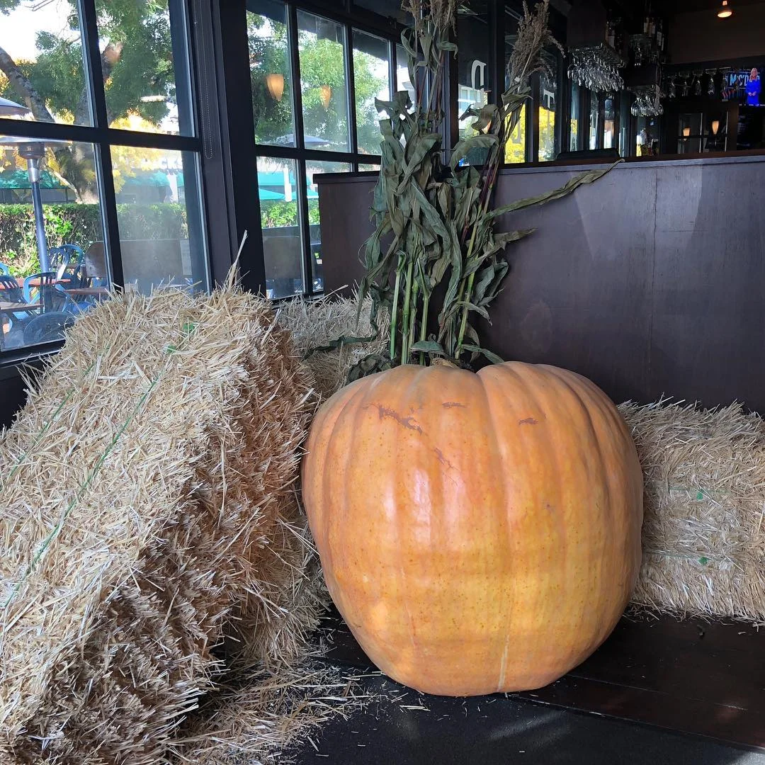 BluWater Bistro