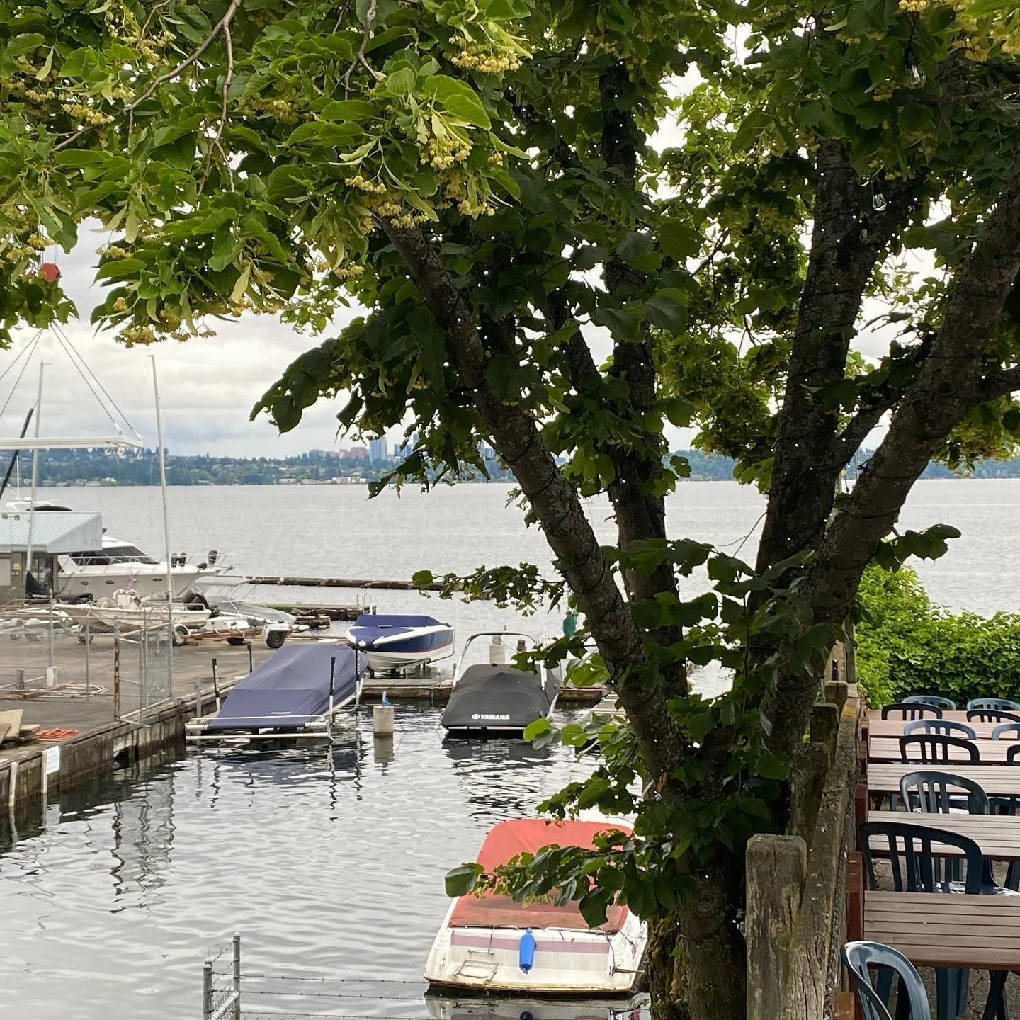 BluWater Bistro