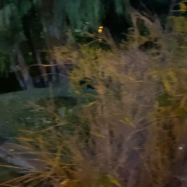 BluWater Bistro