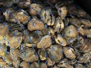 BluWater Bistro